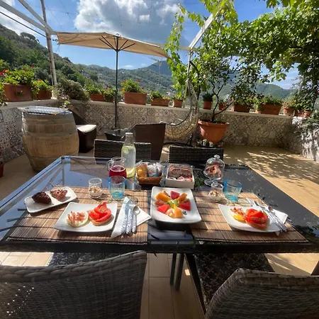 Hill Valley View Couette-café 4*