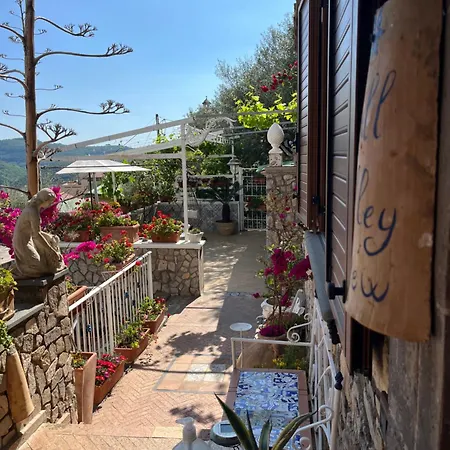 Hill Valley View Oda ve Kahvaltı